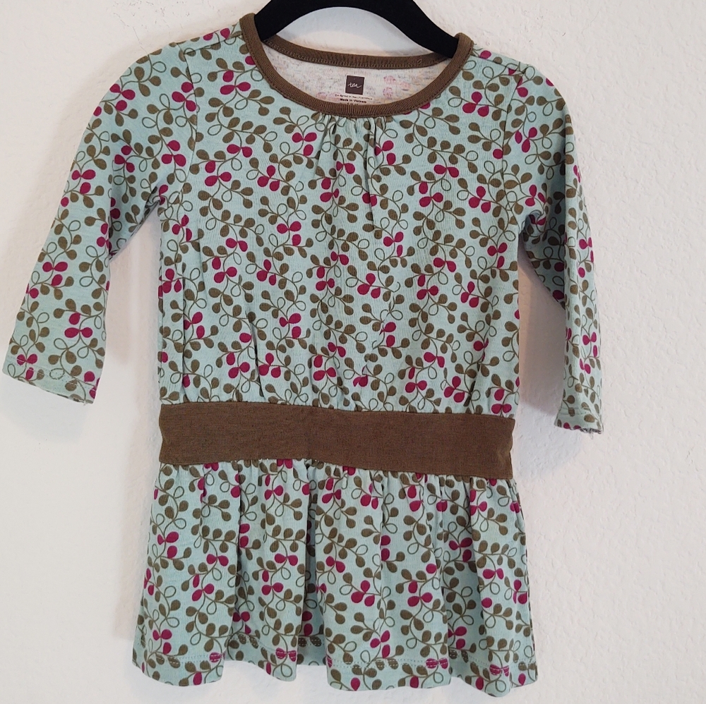 Tea Collection 6-12 Months Dress Long Sleeve Fall